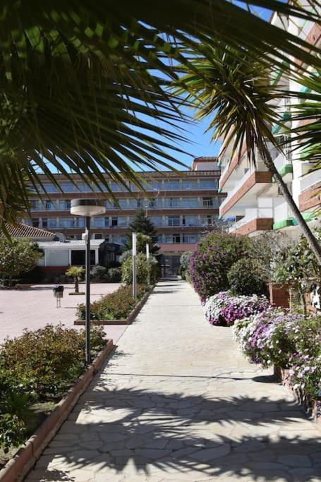 Alegre Apto Con Piscina, A 300M De La Playa. Бланес Экстерьер фото