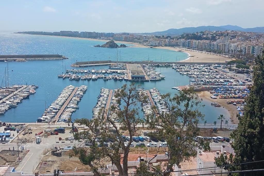 Alegre Apto Con Piscina, A 300M De La Playa. Бланес Экстерьер фото